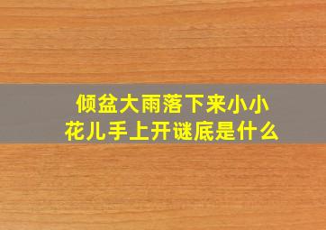 倾盆大雨落下来小小花儿手上开谜底是什么