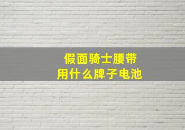 假面骑士腰带用什么牌子电池