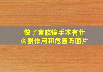 做了宫腔镜手术有什么副作用和危害吗图片