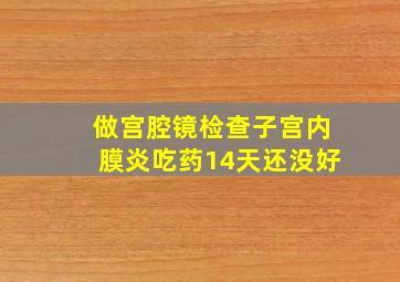 做宫腔镜检查子宫内膜炎吃药14天还没好