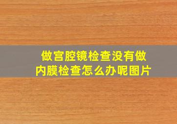 做宫腔镜检查没有做内膜检查怎么办呢图片