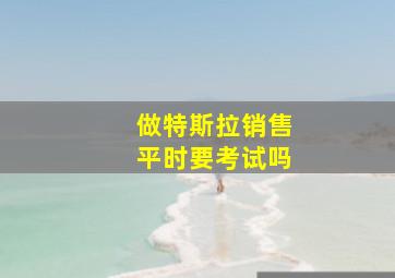 做特斯拉销售平时要考试吗