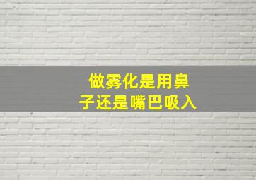 做雾化是用鼻子还是嘴巴吸入