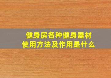 健身房各种健身器材使用方法及作用是什么