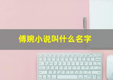 傅婉小说叫什么名字