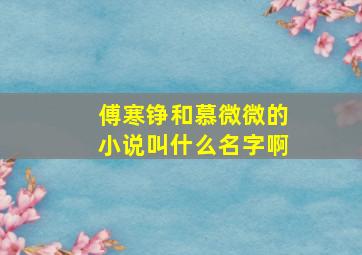 傅寒铮和慕微微的小说叫什么名字啊