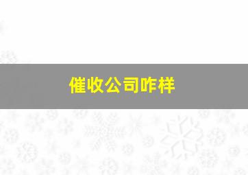 催收公司咋样