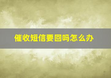 催收短信要回吗怎么办