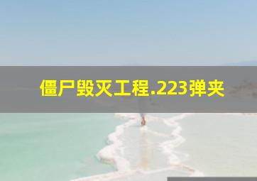 僵尸毁灭工程.223弹夹