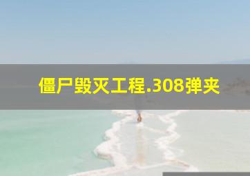 僵尸毁灭工程.308弹夹