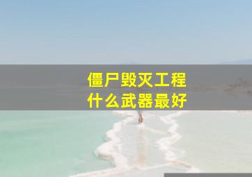 僵尸毁灭工程什么武器最好