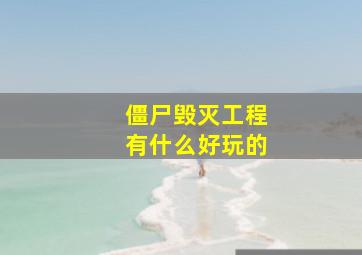 僵尸毁灭工程有什么好玩的