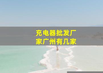 充电器批发厂家广州有几家