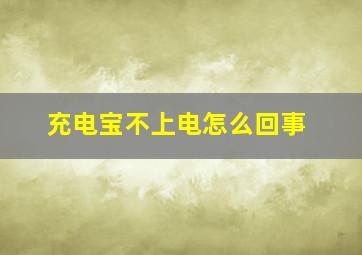 充电宝不上电怎么回事