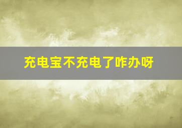 充电宝不充电了咋办呀