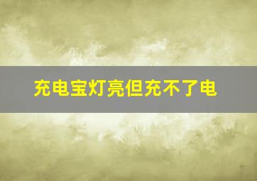 充电宝灯亮但充不了电