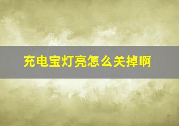 充电宝灯亮怎么关掉啊