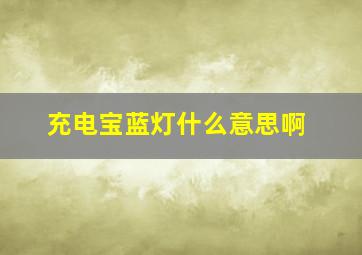 充电宝蓝灯什么意思啊