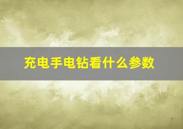 充电手电钻看什么参数