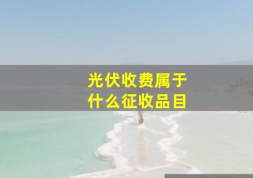 光伏收费属于什么征收品目