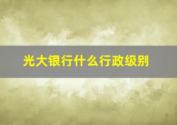 光大银行什么行政级别