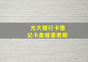 光大银行卡借记卡是啥意思啊