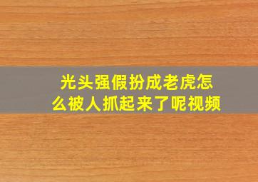 光头强假扮成老虎怎么被人抓起来了呢视频