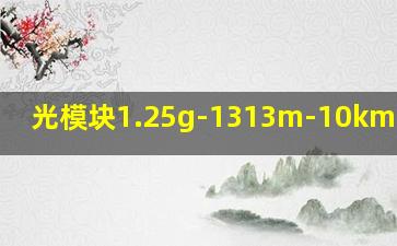 光模块1.25g-1313m-10km啥意思