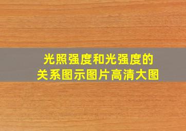 光照强度和光强度的关系图示图片高清大图