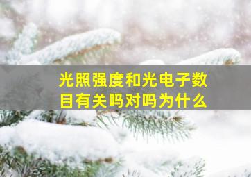 光照强度和光电子数目有关吗对吗为什么