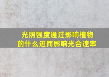 光照强度通过影响植物的什么进而影响光合速率