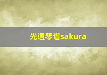 光遇琴谱sakura