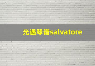 光遇琴谱salvatore