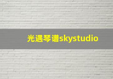 光遇琴谱skystudio