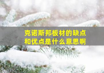 克诺斯邦板材的缺点和优点是什么意思啊