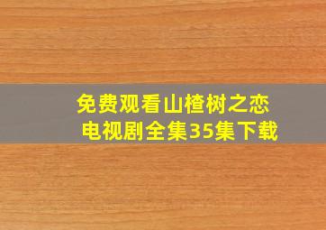 免费观看山楂树之恋电视剧全集35集下载