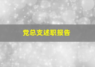 党总支述职报告