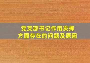 党支部书记作用发挥方面存在的问题及原因