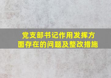 党支部书记作用发挥方面存在的问题及整改措施