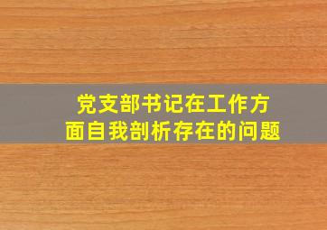 党支部书记在工作方面自我剖析存在的问题