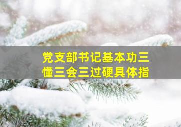 党支部书记基本功三懂三会三过硬具体指