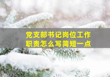 党支部书记岗位工作职责怎么写简短一点