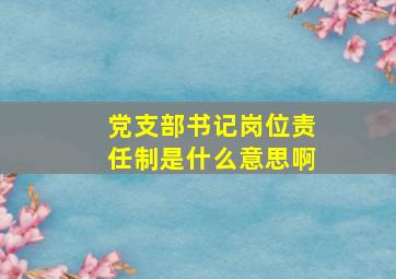 党支部书记岗位责任制是什么意思啊