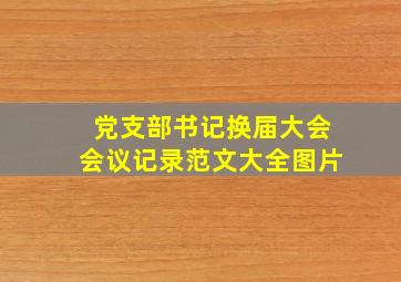 党支部书记换届大会会议记录范文大全图片