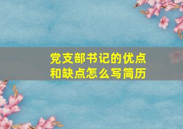 党支部书记的优点和缺点怎么写简历