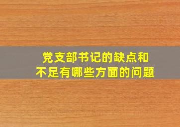 党支部书记的缺点和不足有哪些方面的问题