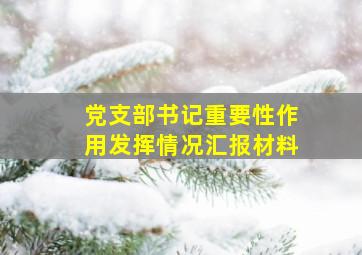 党支部书记重要性作用发挥情况汇报材料