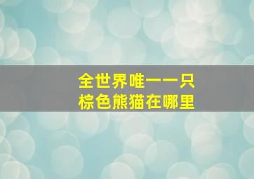 全世界唯一一只棕色熊猫在哪里