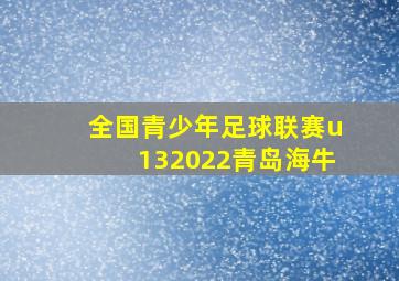 全国青少年足球联赛u132022青岛海牛