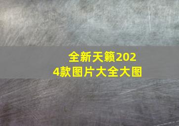 全新天籁2024款图片大全大图